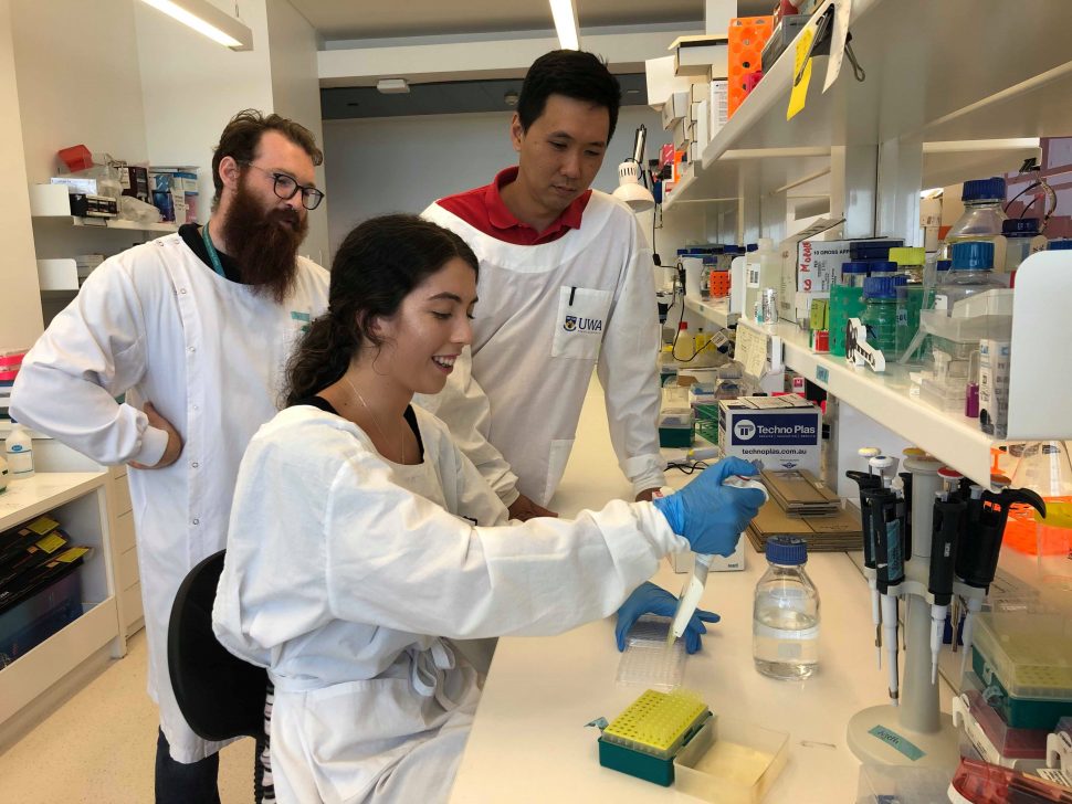 Researchers